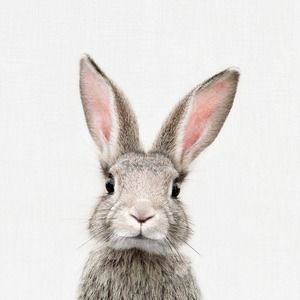 Meet your Posher, Annie